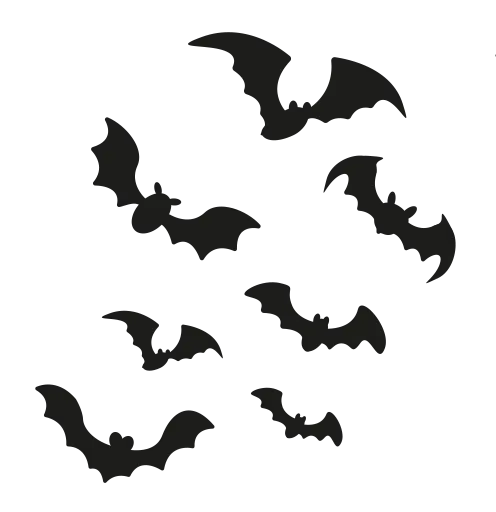 Bats